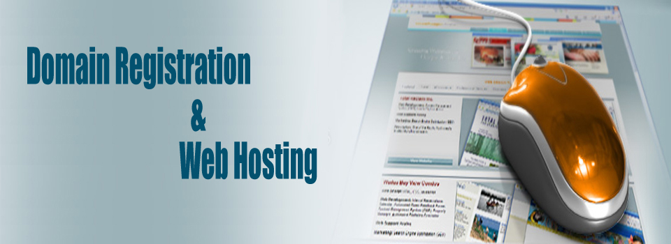 domain registration and web hosting