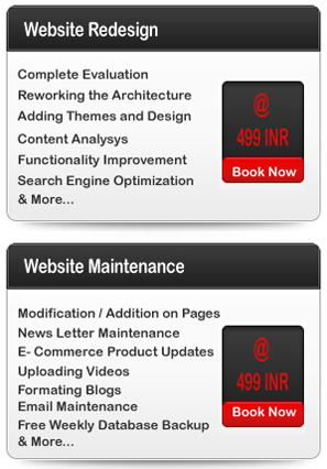 website redesign and maintenance